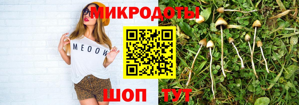 Всеволожск  Псилоцибиновые грибы Psilocybe  Вход с VPN 